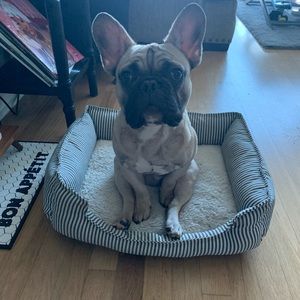 Meet your Posher, Marcell